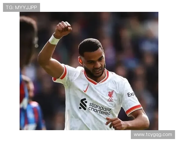 冰岛球员在英超赛场上的代表人物与贡献总结